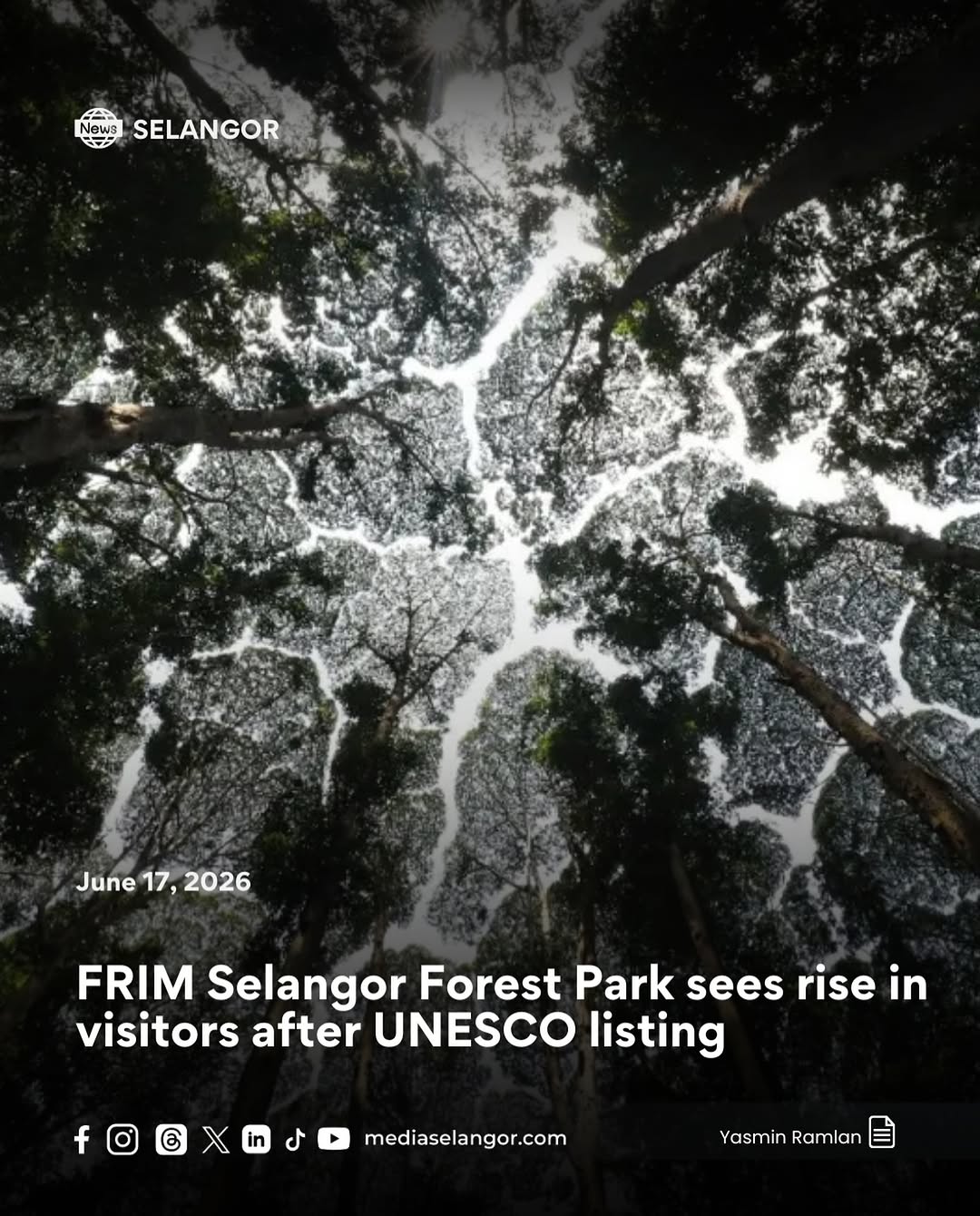 FRIM Selangor Forest Park sees rise in visitors after UNESCO listing